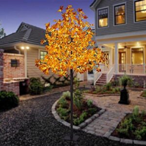 Lightshare Maple Tree