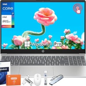 HP 15.6 Touchscreen Business Laptop